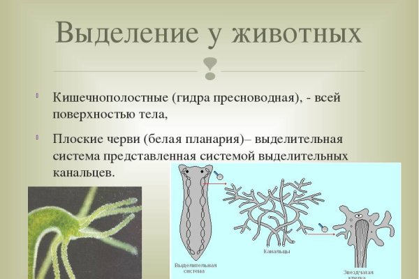 Пользователь не найден при входе на кракен