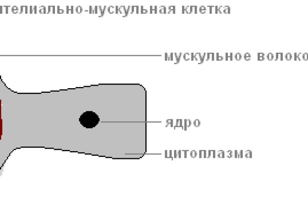 Кракен упал