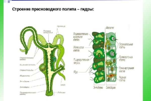 Как зайти на кракен через айфон