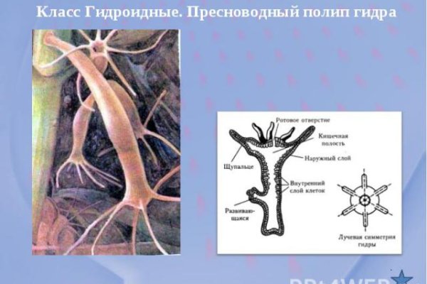 Кракен торговая площадка